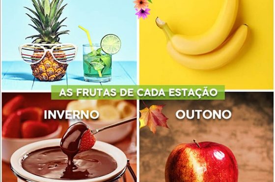 As frutas de cada estação