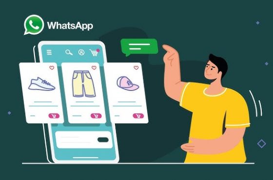 Como colocar um catálogo no WhatsApp