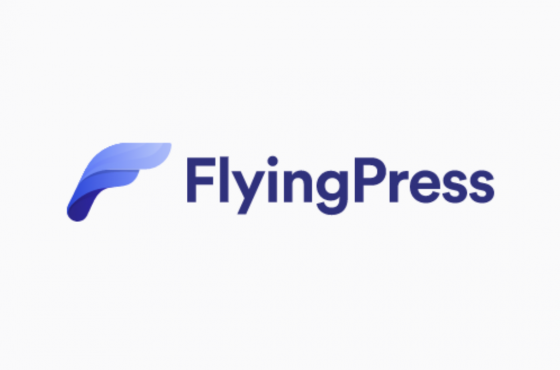 Por que criei o FlyingPress, como ele é diferente