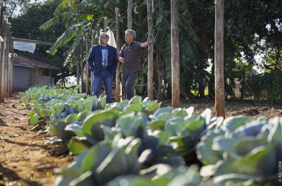 Cultivo de Alimentos, Recuperação, Projeto de Extensão