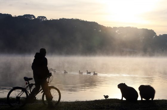 Frio Intenso no Paraná: Temperaturas Negativas no Sul do Estado