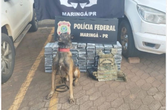 Apreensão de 100 Quilos de Cocaína pela Polícia Federal