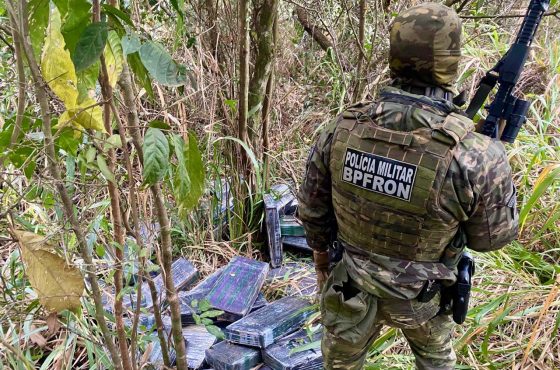 Apreensões de maconha e cocaína no Paraná no 1º semestre.