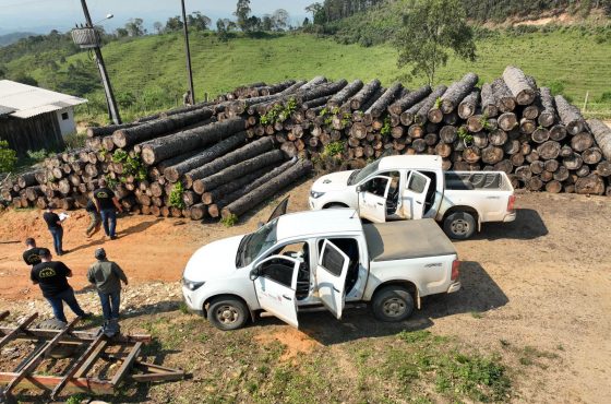 Fiscalização ambiental aplicando multas por desmatamento.