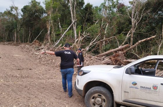 Fiscalização ambiental do IAT em Maringá