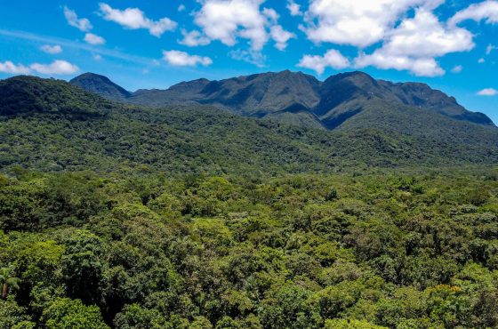 Paraná adotando créditos de biodiversidade para compensação