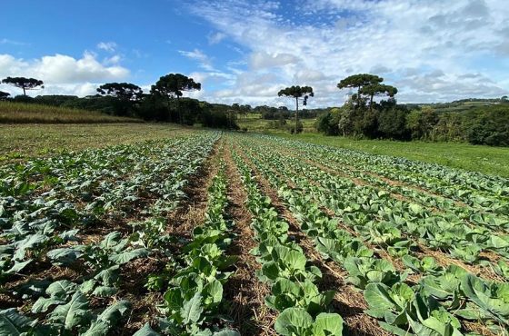 Participantes da 4ª edição do Prêmio Orgulho da Terra