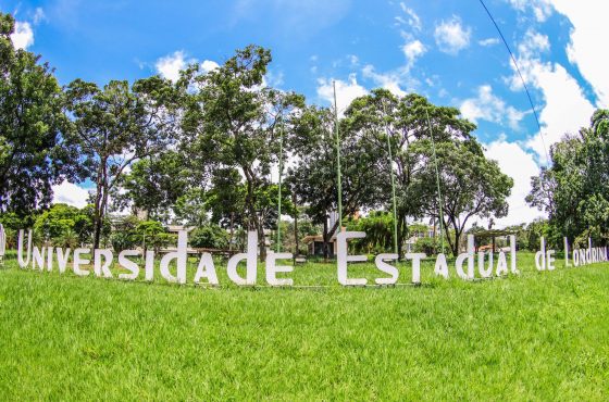 Universidade Estadual de Londrina oferece 3 mil vagas em cursos