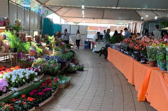 Feira de Flores de Maringá 2024: Beleza e Solidariedade