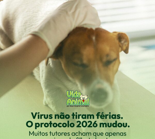 Vida Animal