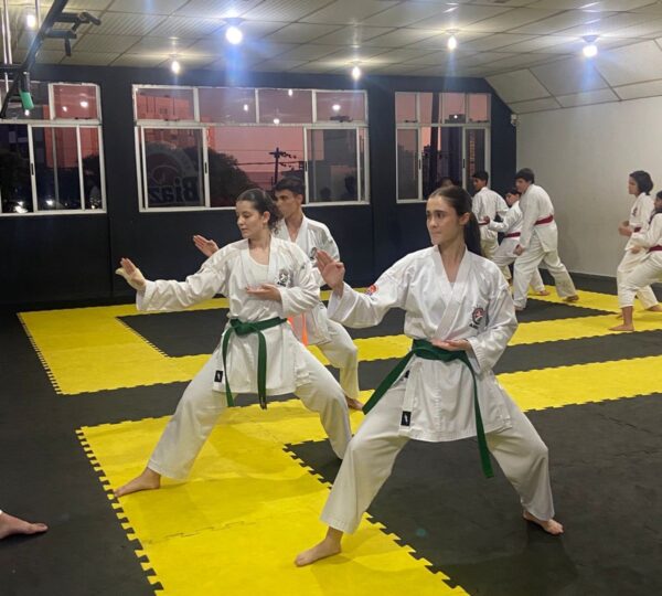 Escola de Karatê - Dojo Paulo Biazon