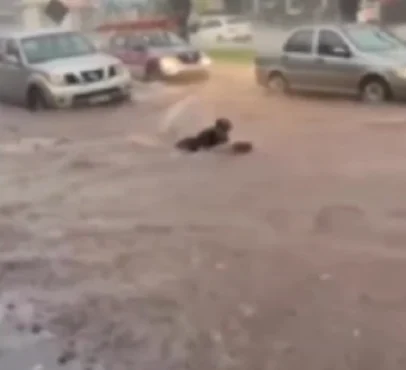 Morador de Maringá surfa durante temporal