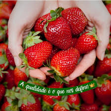 Morangolândia