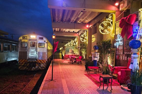 Passeios Natalinos de Trem pela Serra do Mar Encantam Turistas