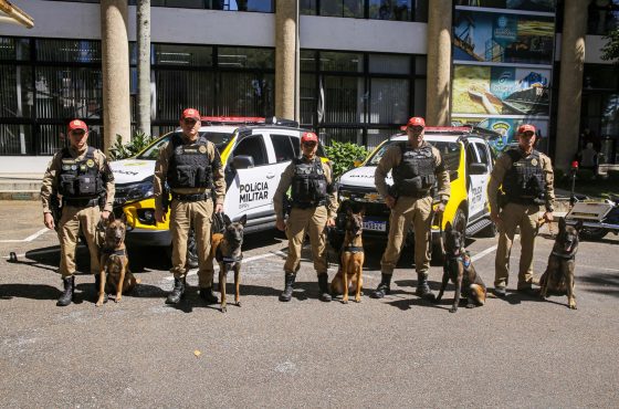 Segurança nas Rodovias com Novas Viaturas e Cães Policiais