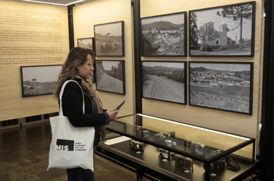 Cultura De Graça Em Maringá: Mostra Com Acervos De Grandes Museus Chega Ao Mis Em 19 De Novembro